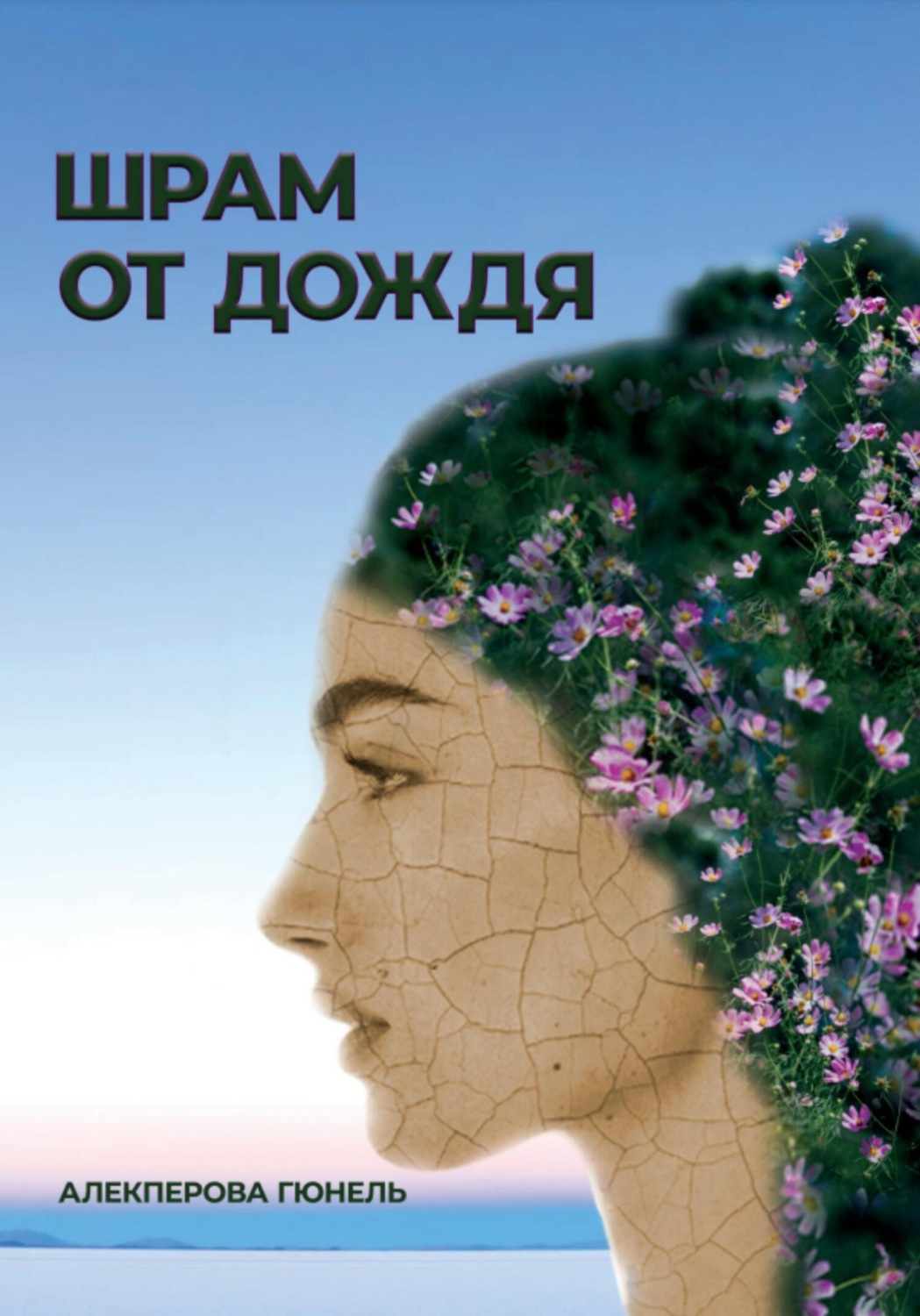 Обложка книги «Шрам от дождя»