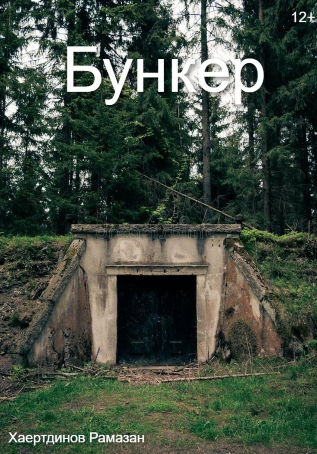 Обложка книги «Бункер»