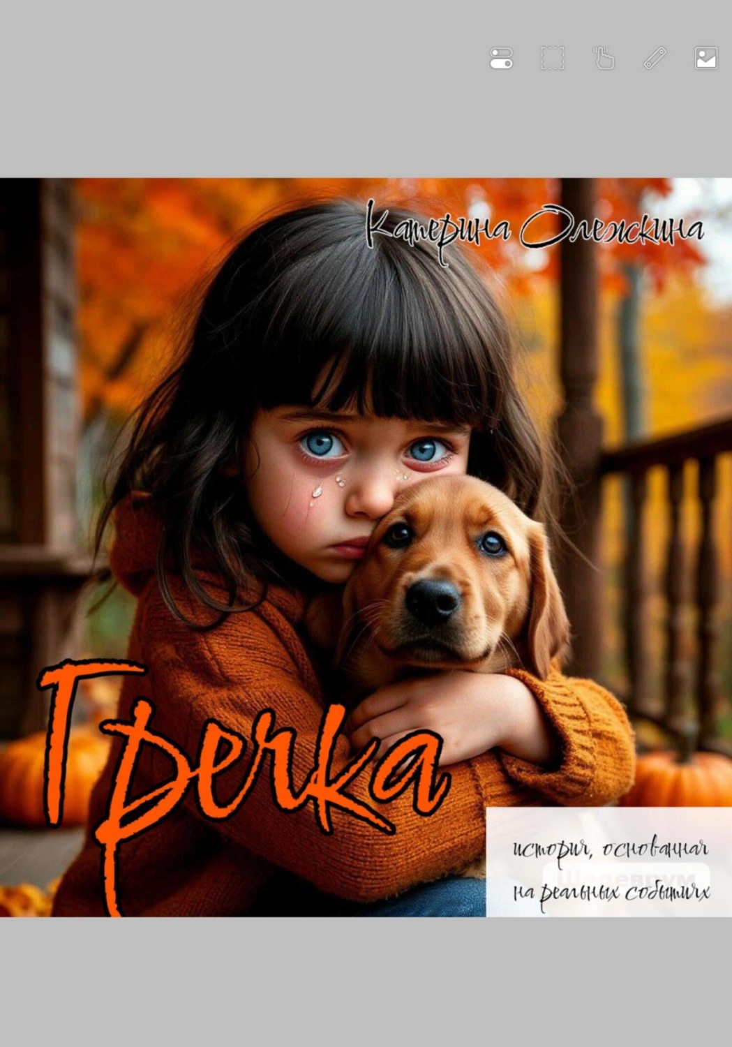 Обложка книги «Гречка»