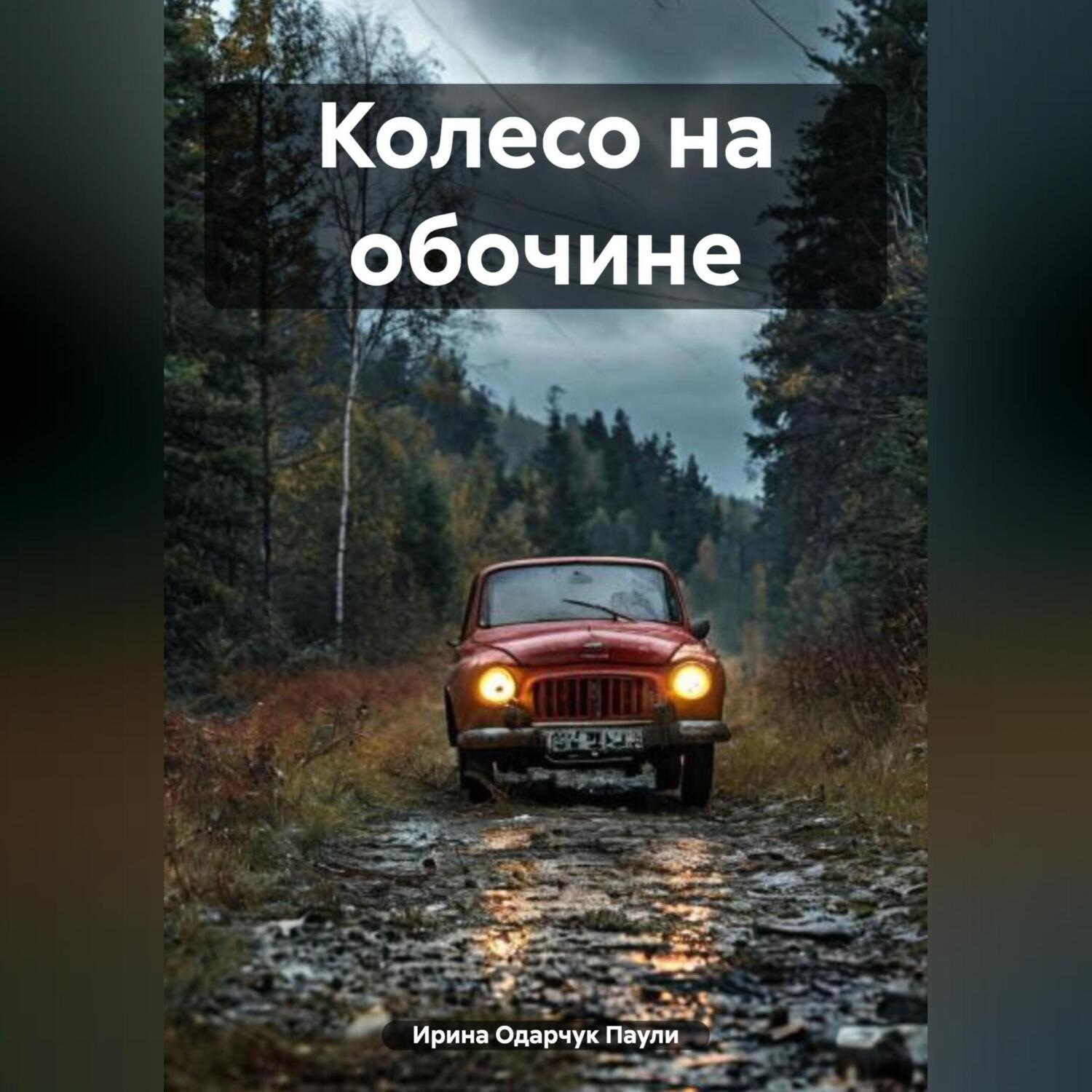 Обложка книги «Колесо на обочине»