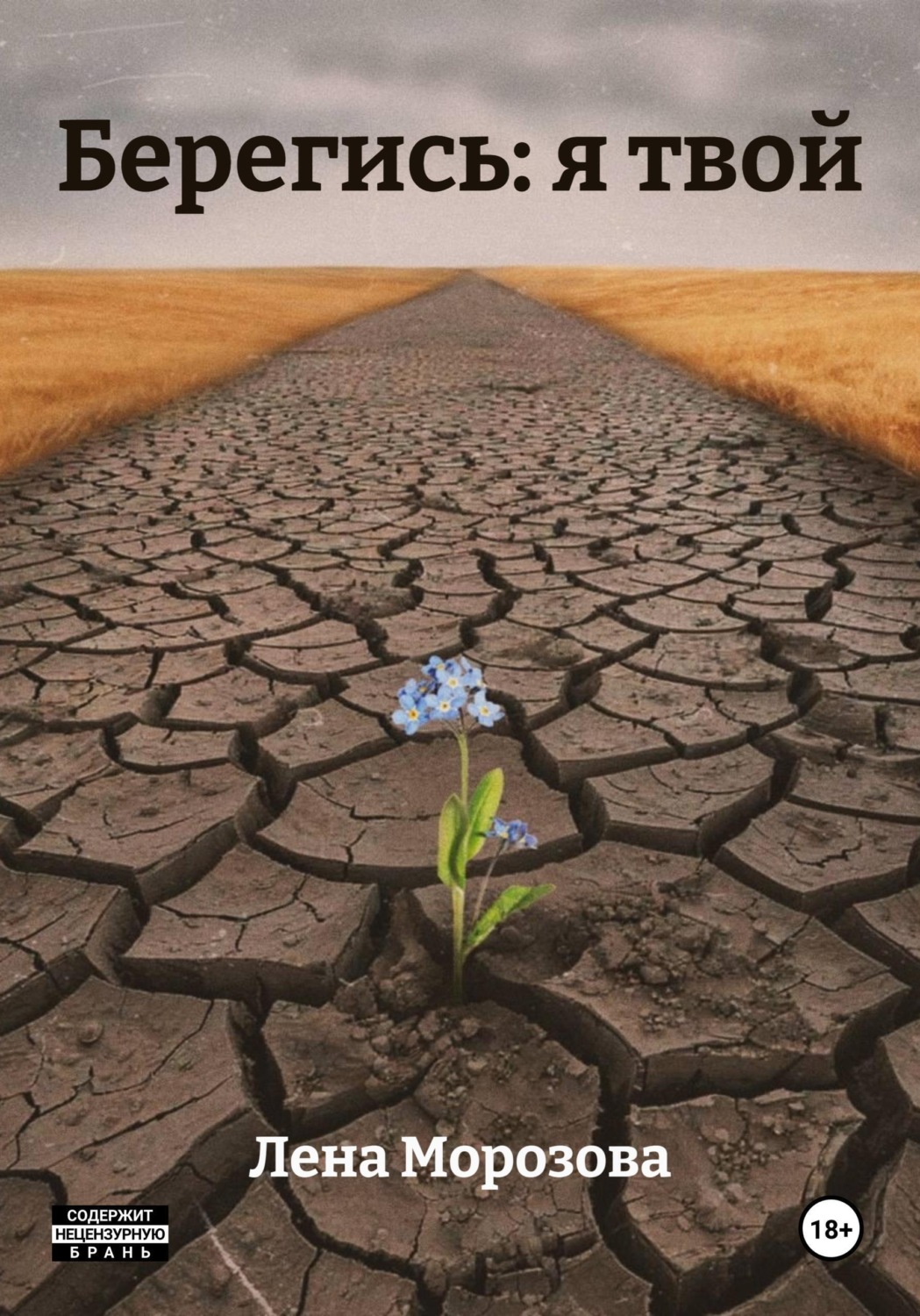 Обложка книги «Берегись: я твой»