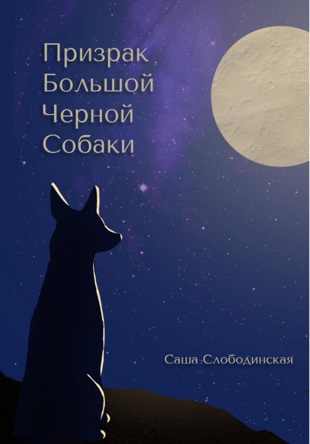 Обложка книги «Призрак большой черной собаки»