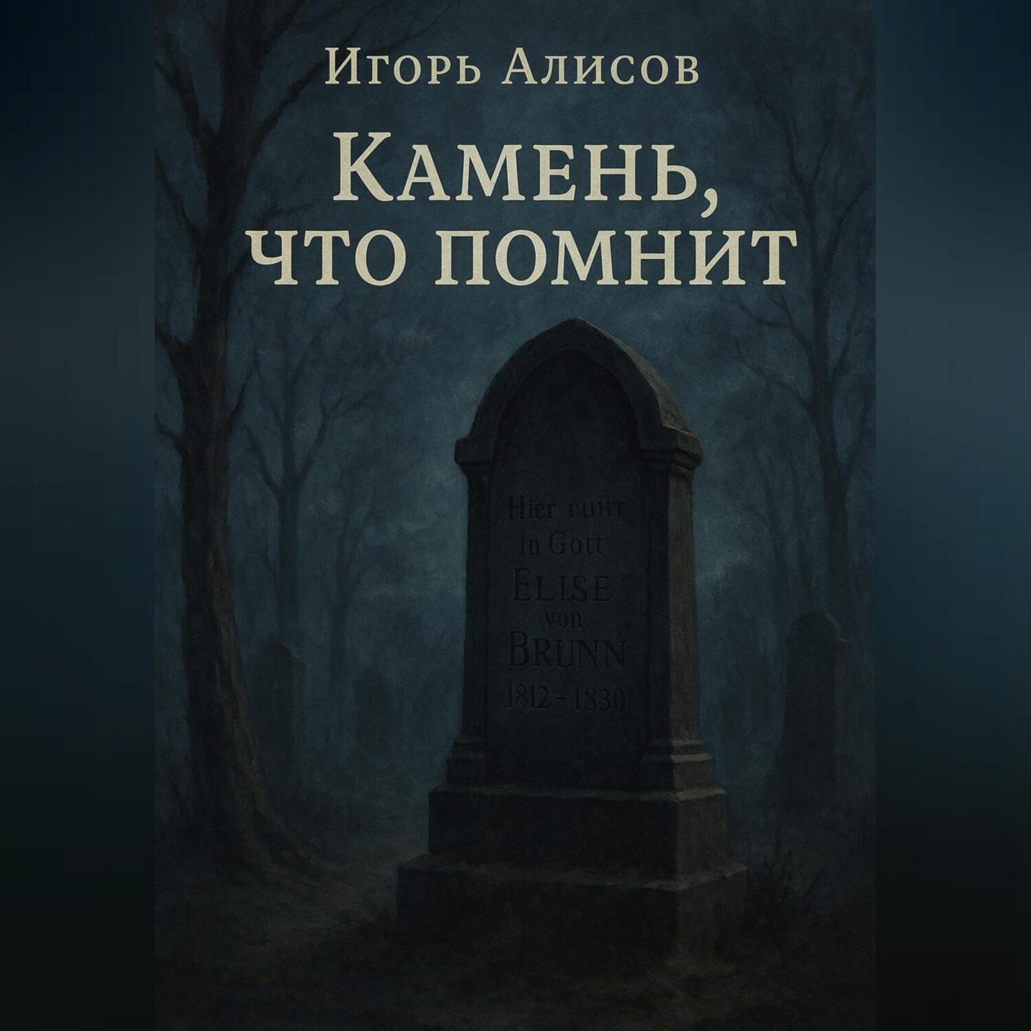 Обложка книги «Камень что помнит»