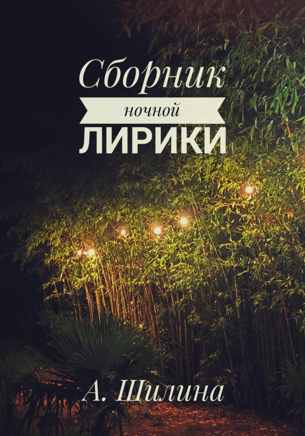 Обложка книги «Сборник ночной лирики»