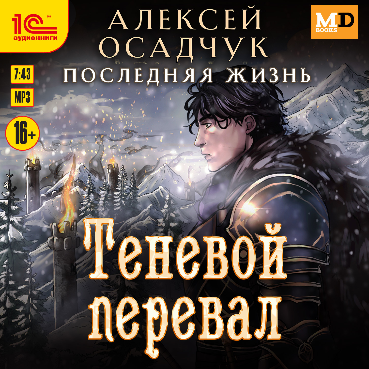 Обложка книги «Теневой перевал»