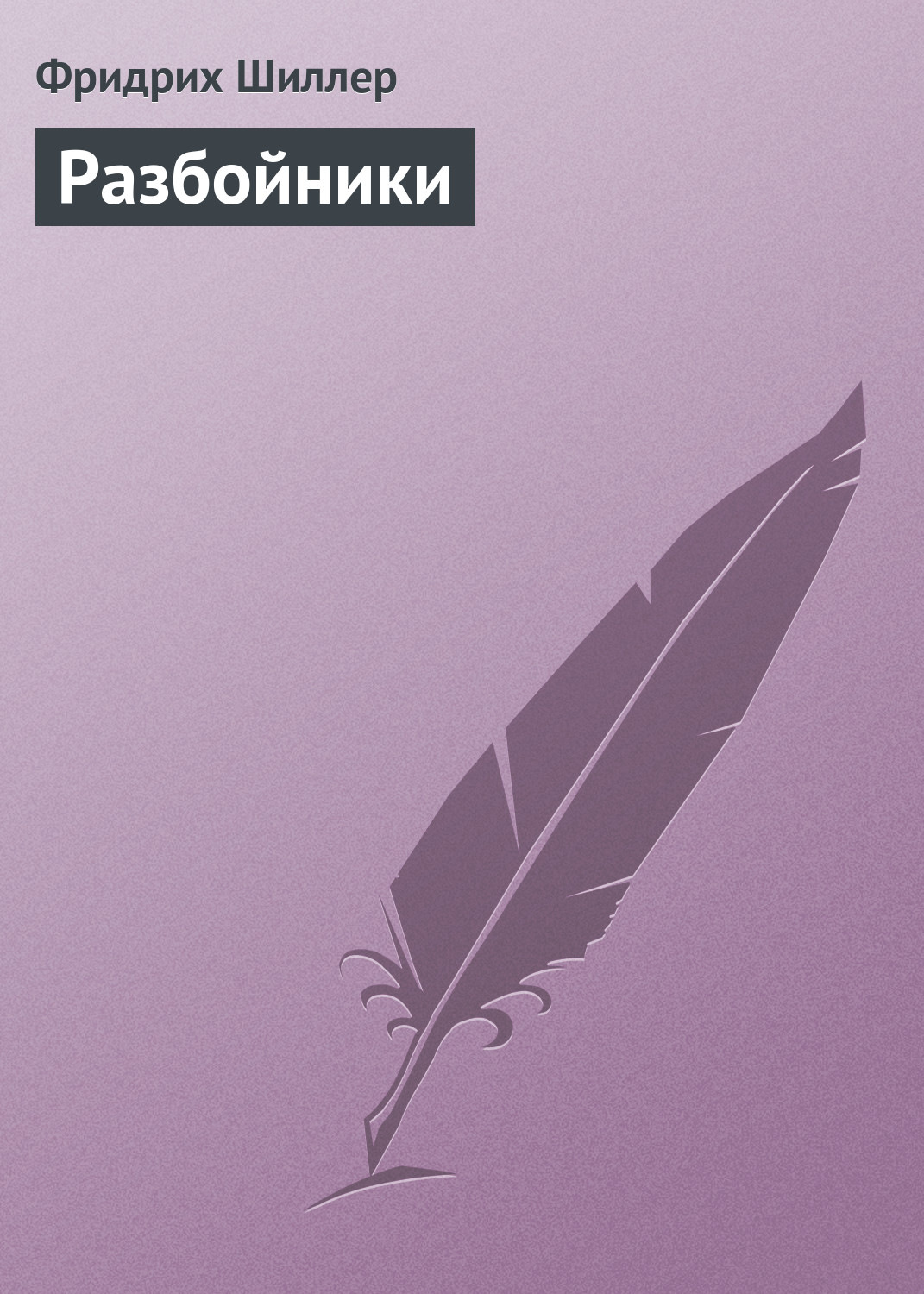 Обложка книги «Разбойники»