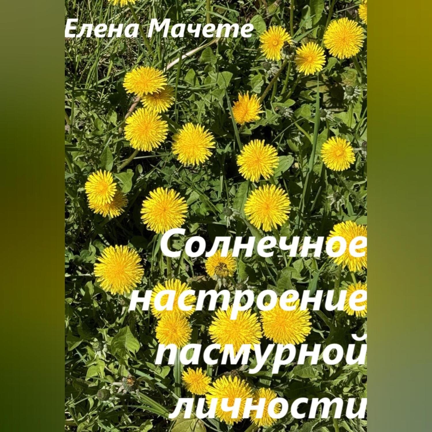 Обложка книги «Солнечное настроение пасмурной личности»