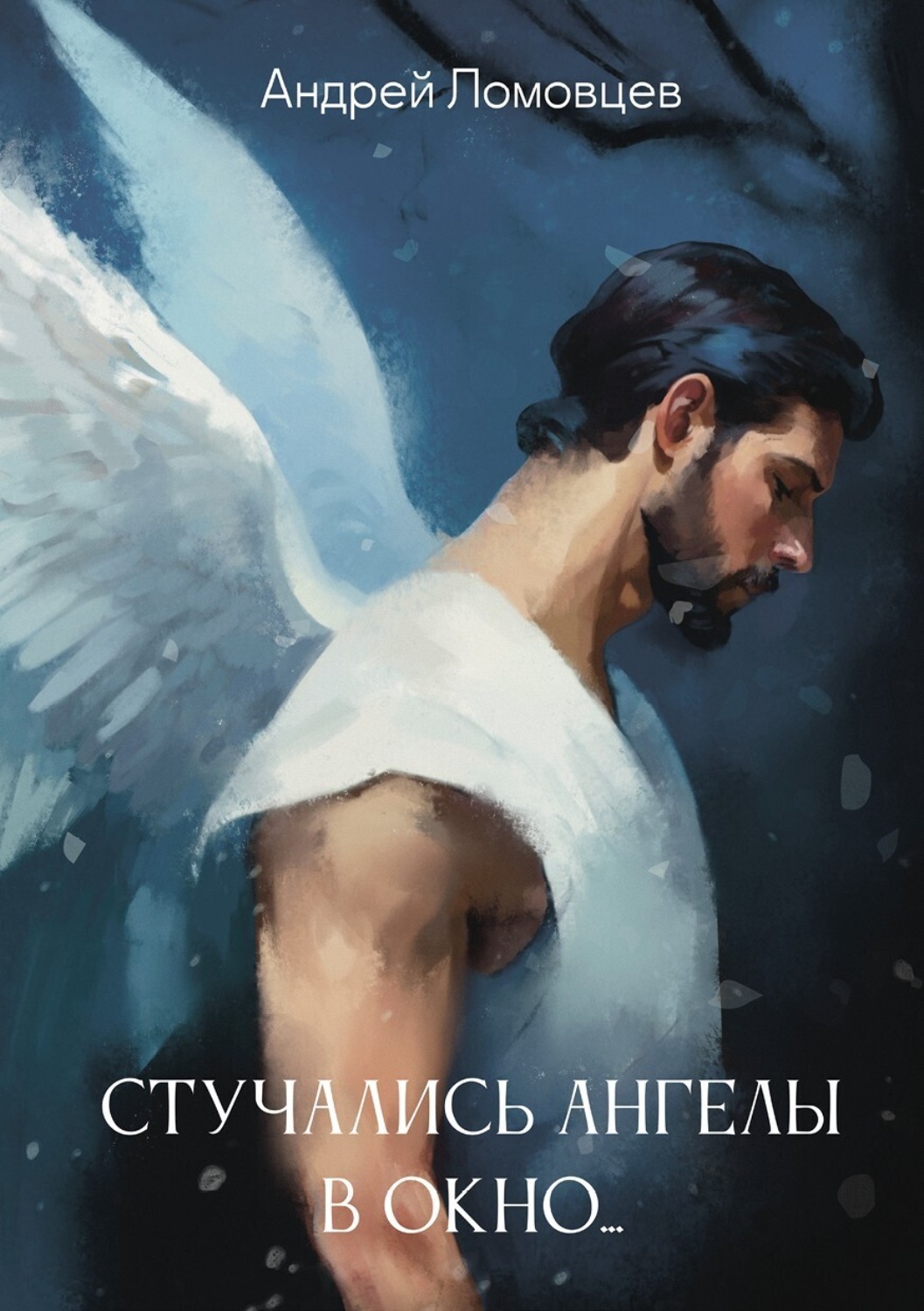 Обложка книги «Стучались ангелы в окно»