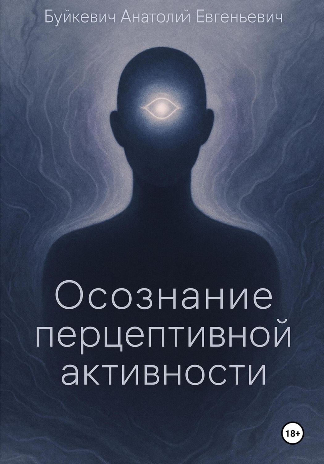 Обложка книги «Осознание перцептивной активности»