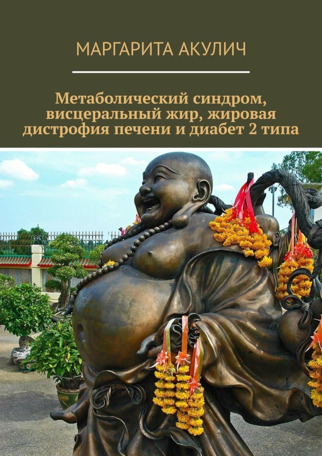 Обложка книги «Метаболический синдром, висцеральный жир, жировая дистрофия печени и диабет 2 типа»
