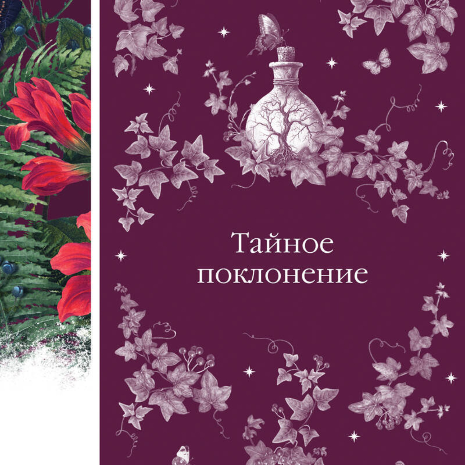 Обложка книги «Тайное поклонение»