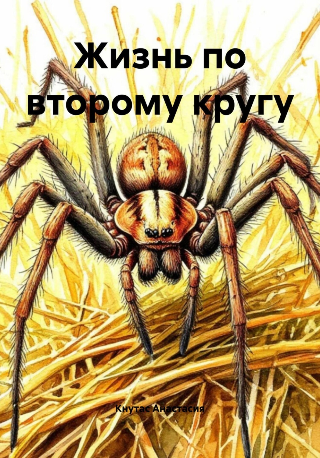 Обложка книги «Жизнь по второму кругу»