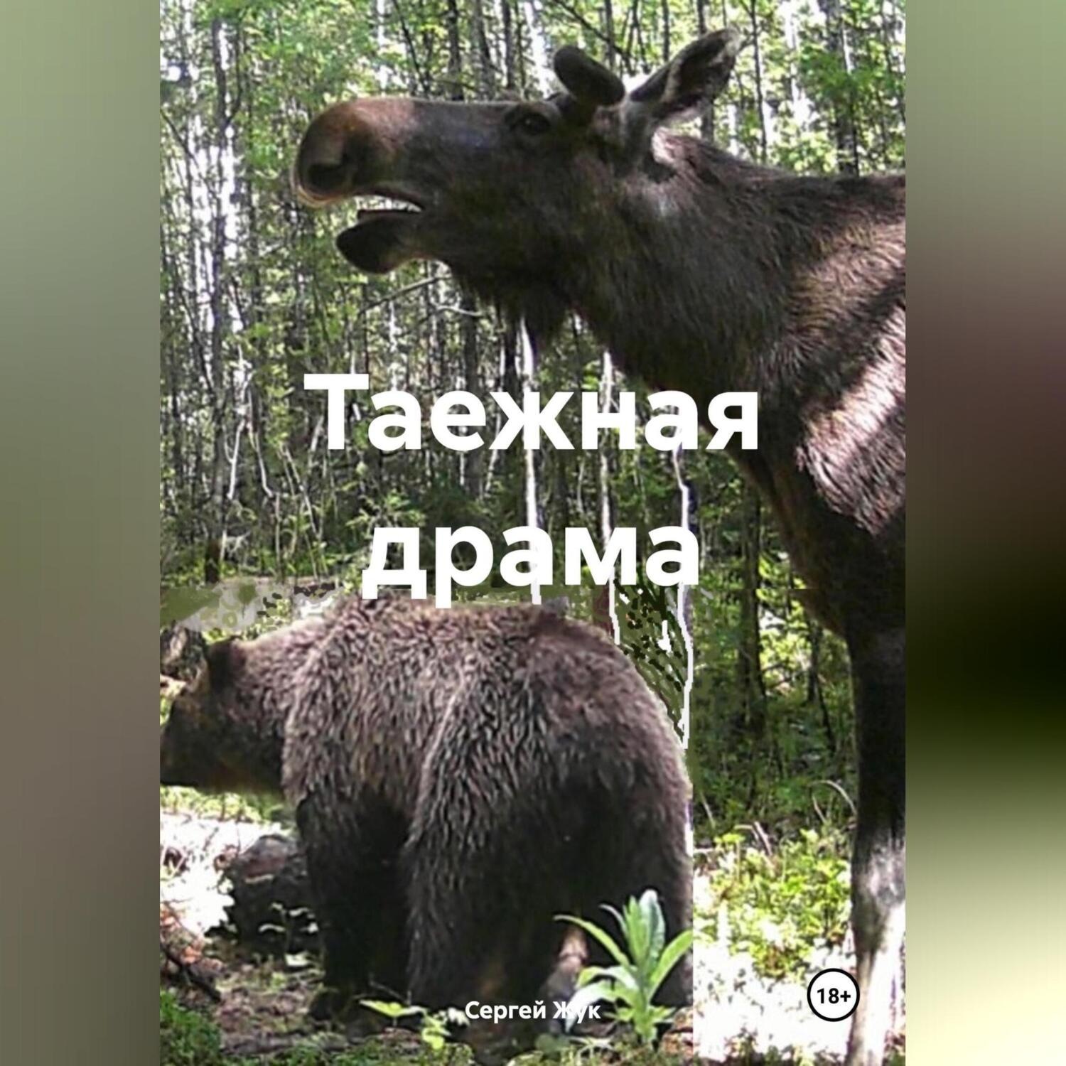 Обложка книги «Таежная драма»