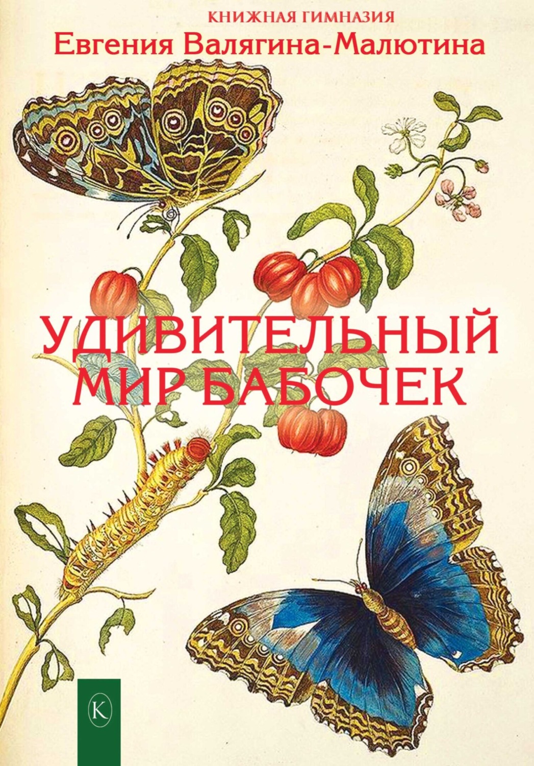 Обложка книги «Удивительный мир бабочек»