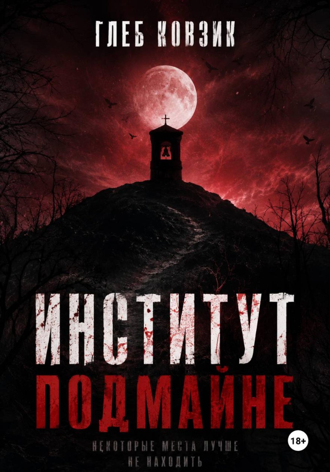Обложка книги «Институт Подмайне»