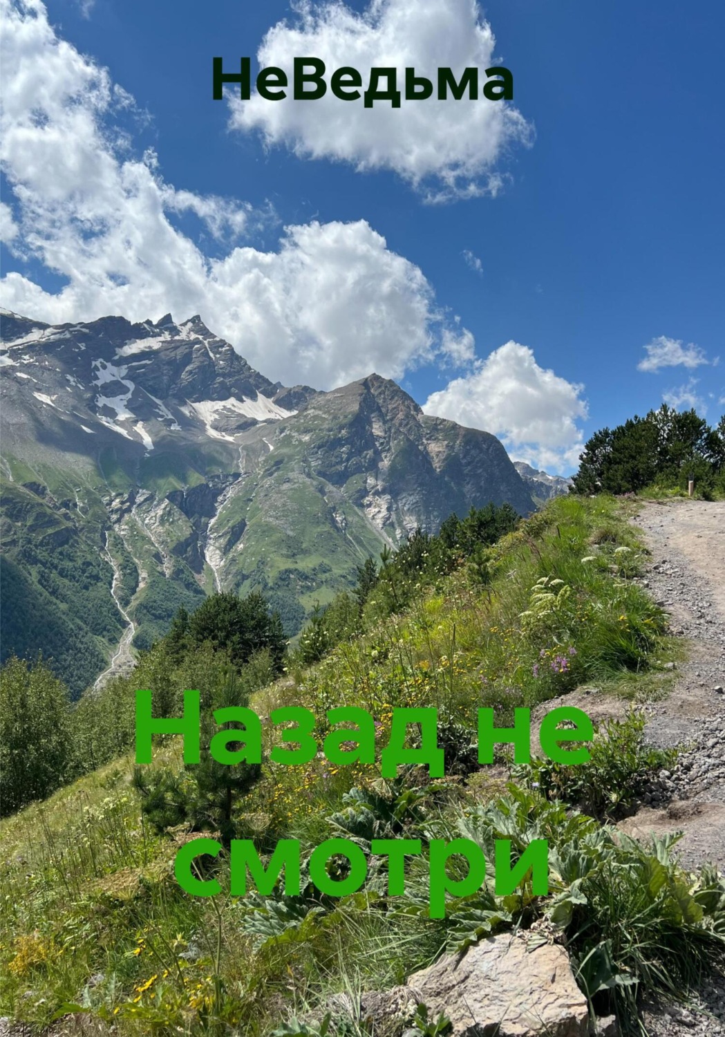 Обложка книги «Назад не смотри»