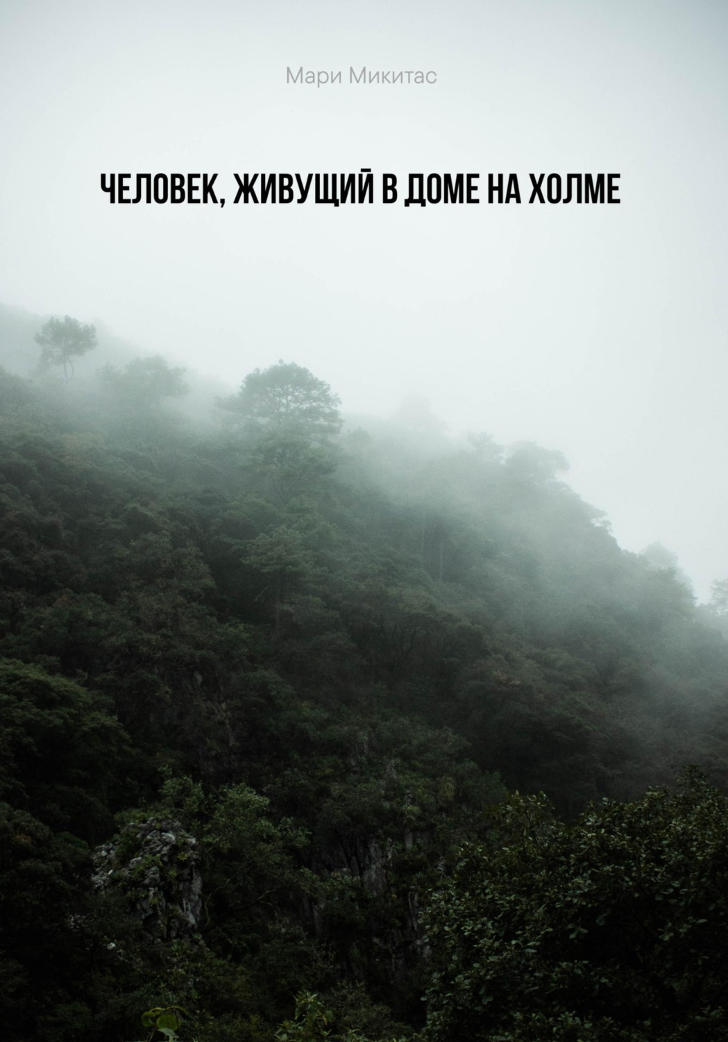 Обложка книги «Человек, живущий в доме на холме»