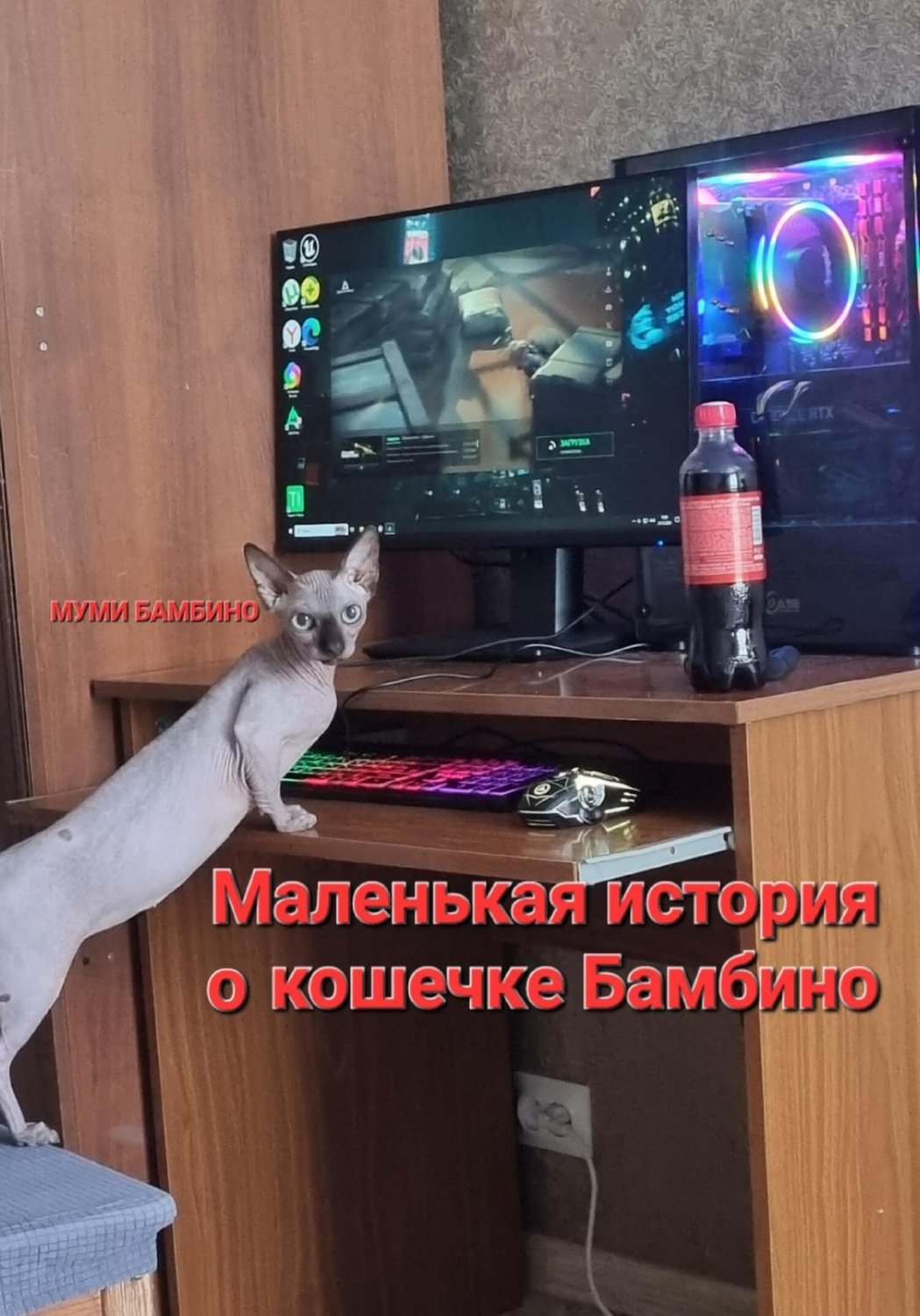 Обложка книги «Маленькая история о кошечке Бамбино»