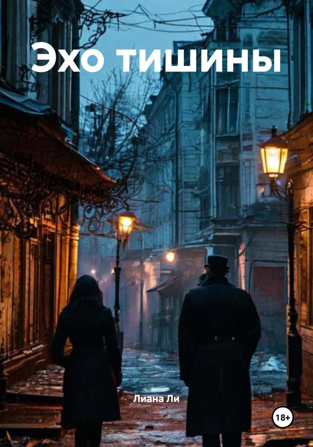 Обложка книги «Эхо тишины»
