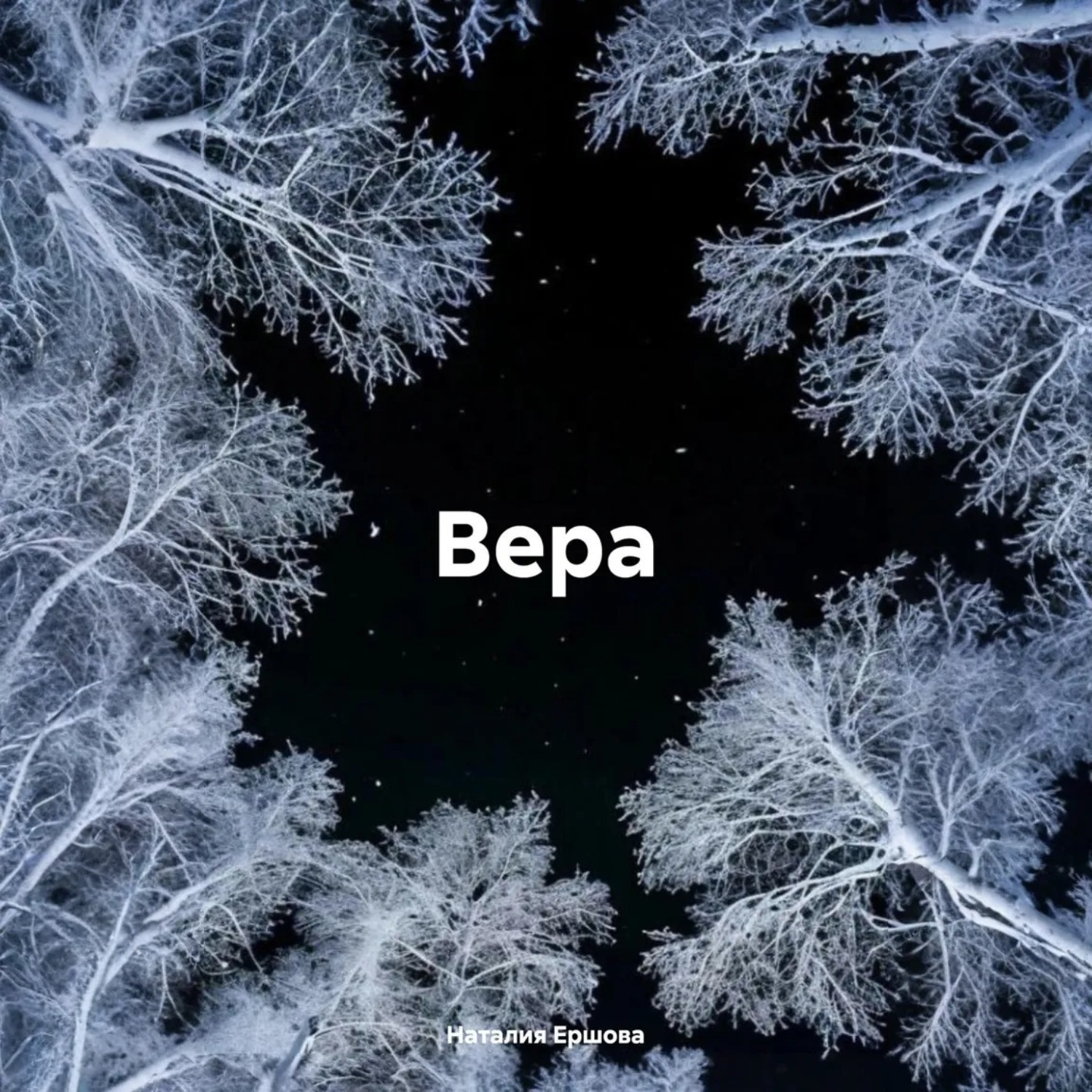 Обложка книги «Вера»