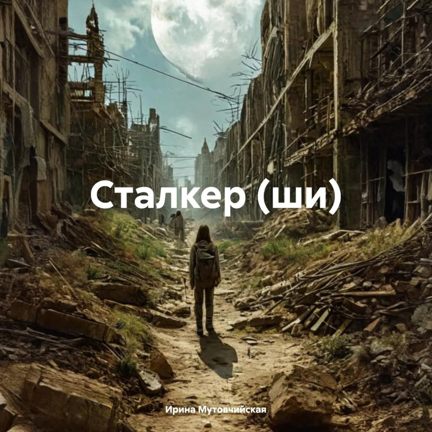 Обложка книги «Сталкер (ши)»