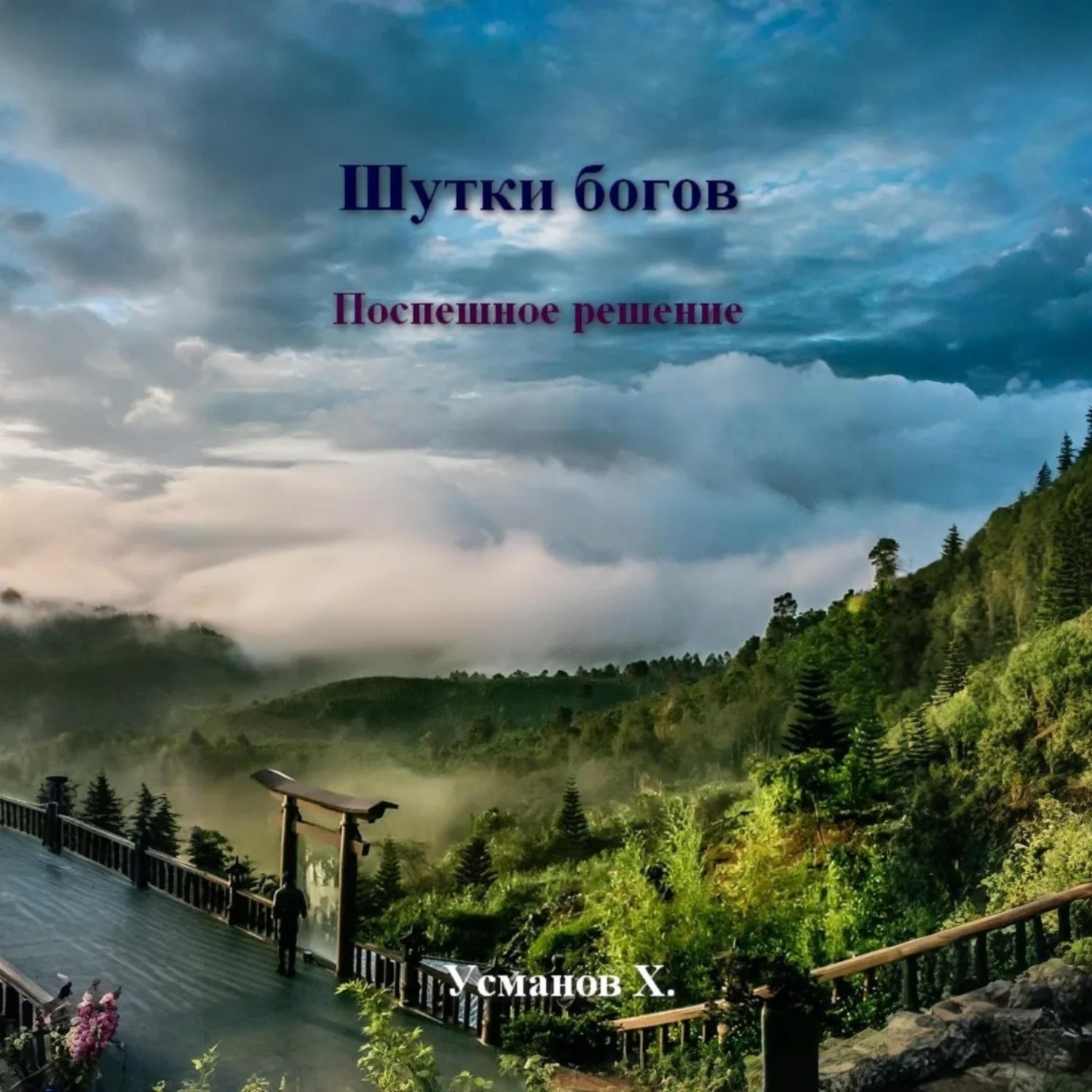 Обложка книги «Шутки богов. Поспешное решение»