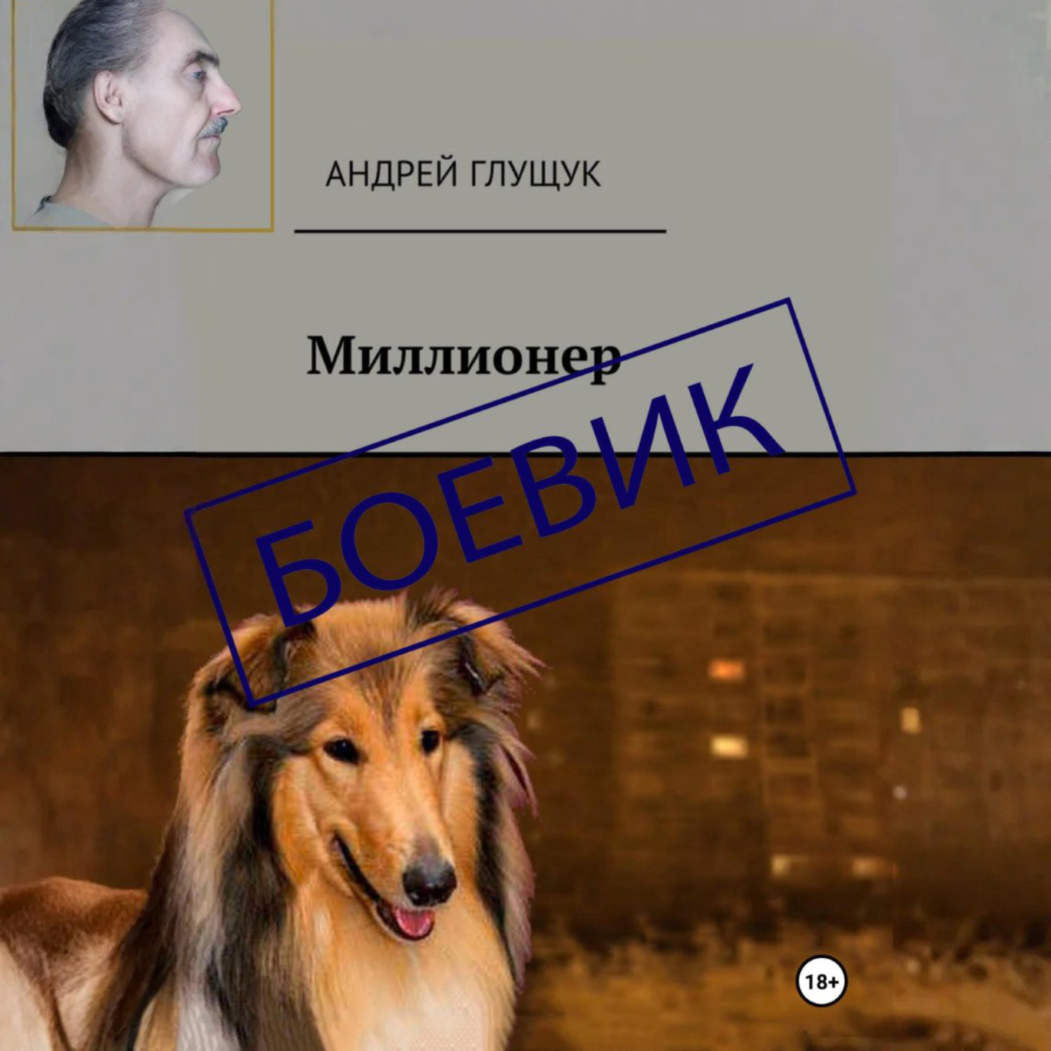 Обложка книги «Миллионер»