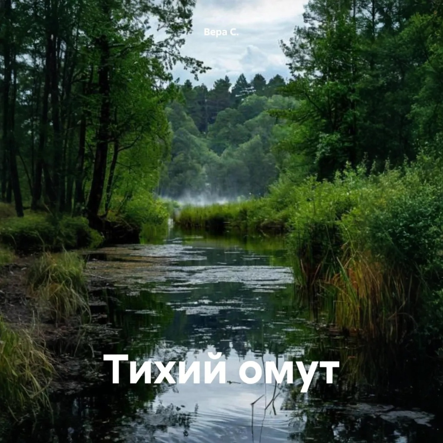 Обложка книги «Тихий омут»