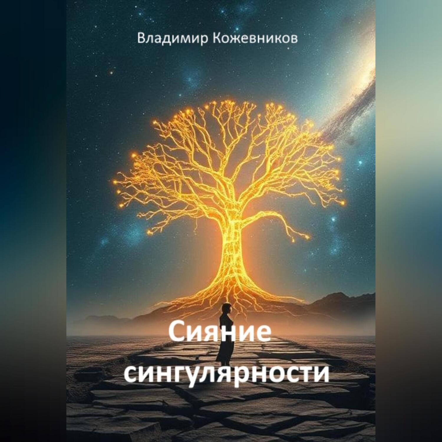 Обложка книги «Сияние сингулярности»