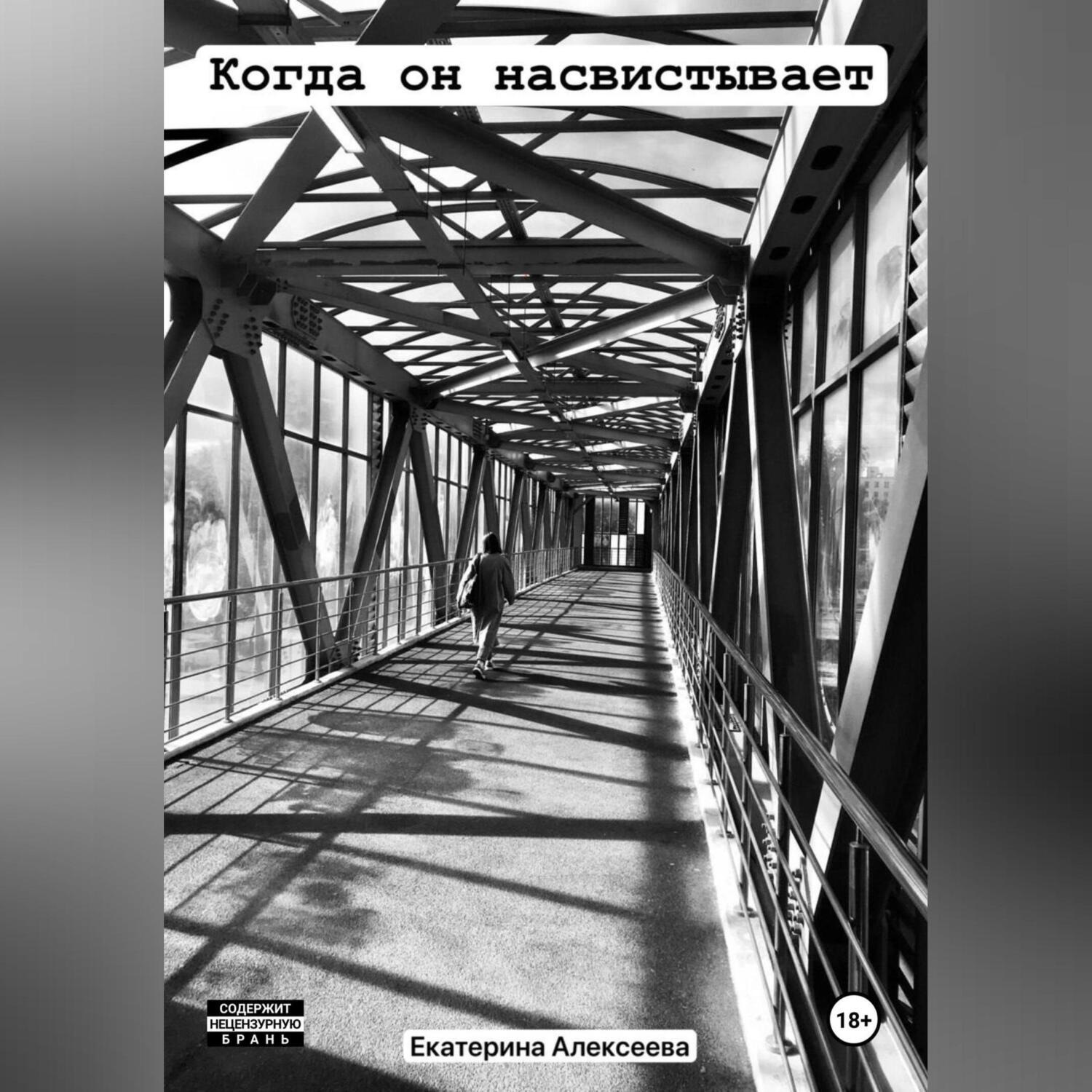 Обложка книги «13»
