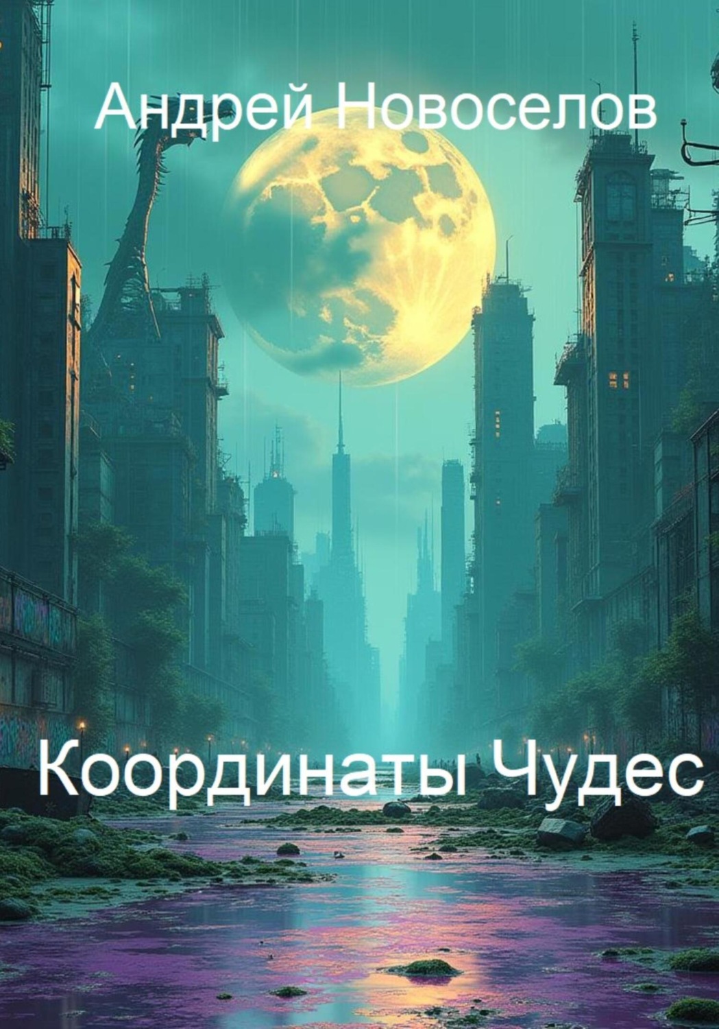 Обложка книги «Координаты чудес»