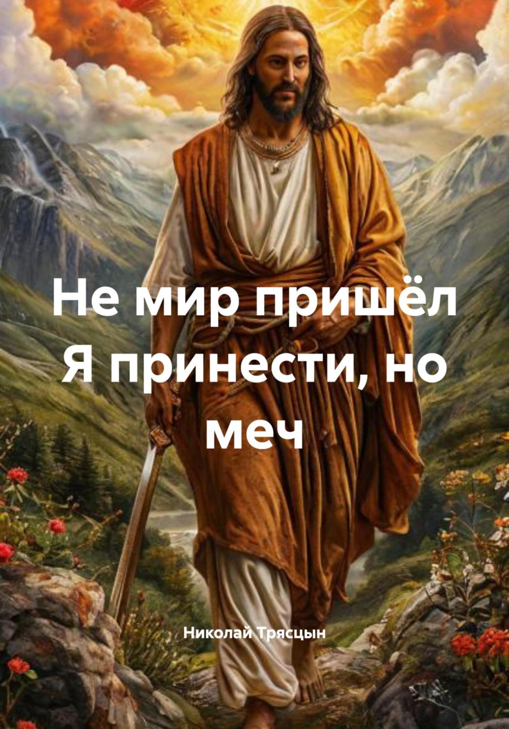 Обложка книги «Не мир пришёл Я принести, но меч»
