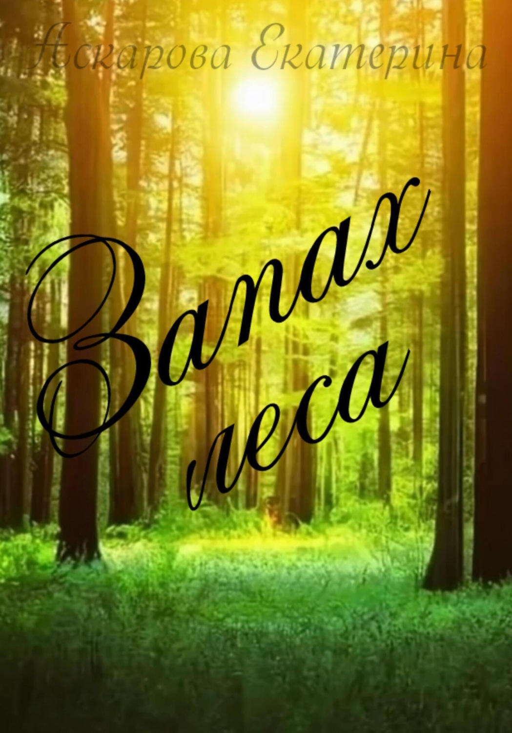 Обложка книги «Запах леса»