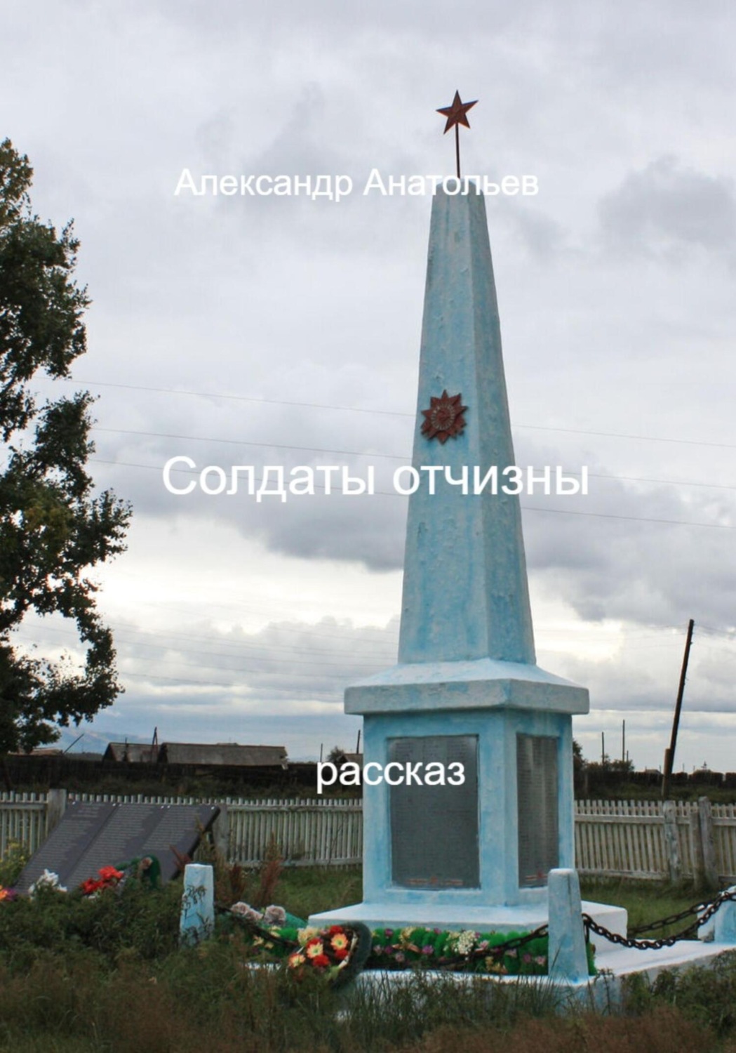 Обложка книги «Солдаты отчизны»