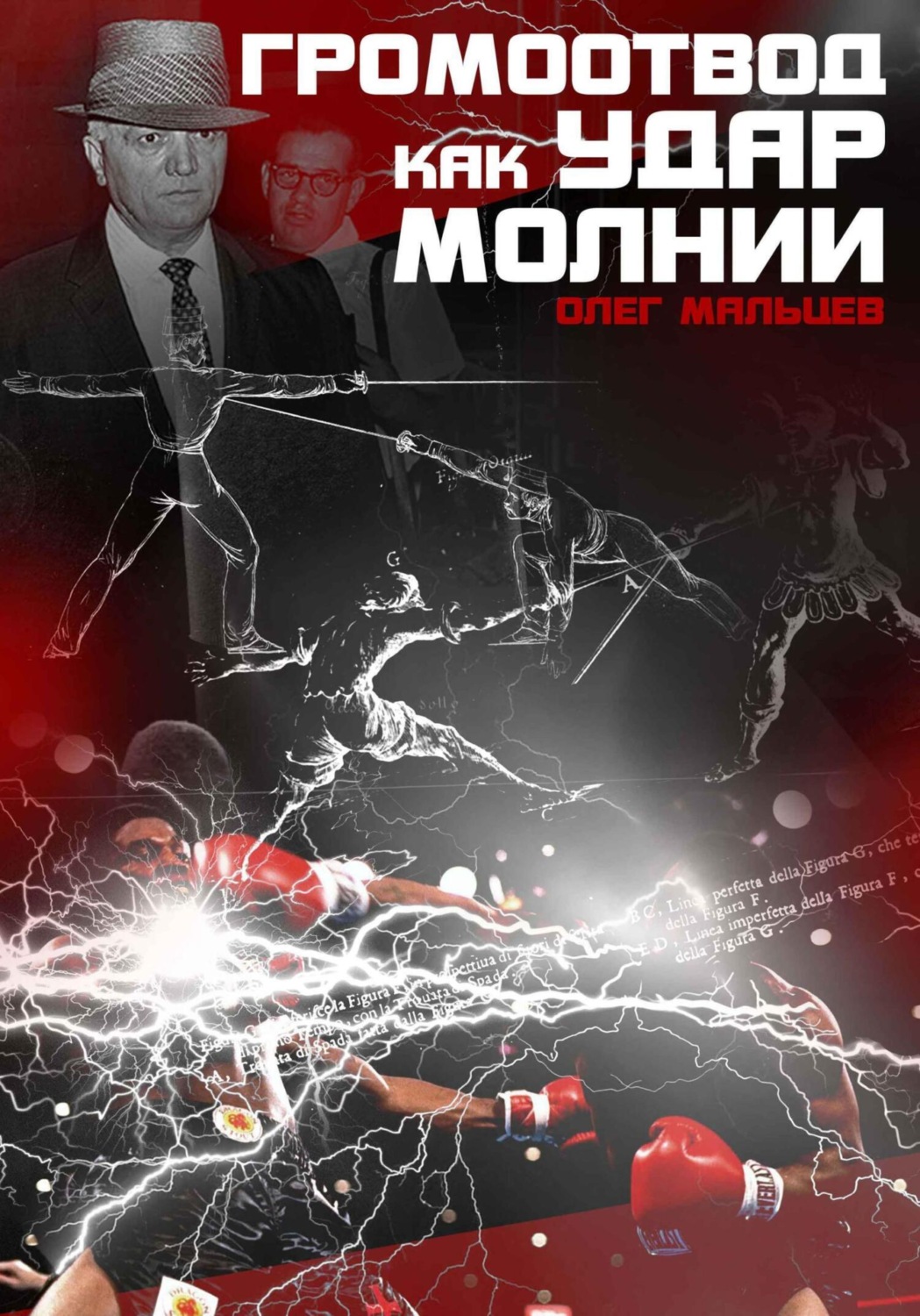 Обложка книги «Громоотвод как удар молнии. Феномен Каса Д'Амато»
