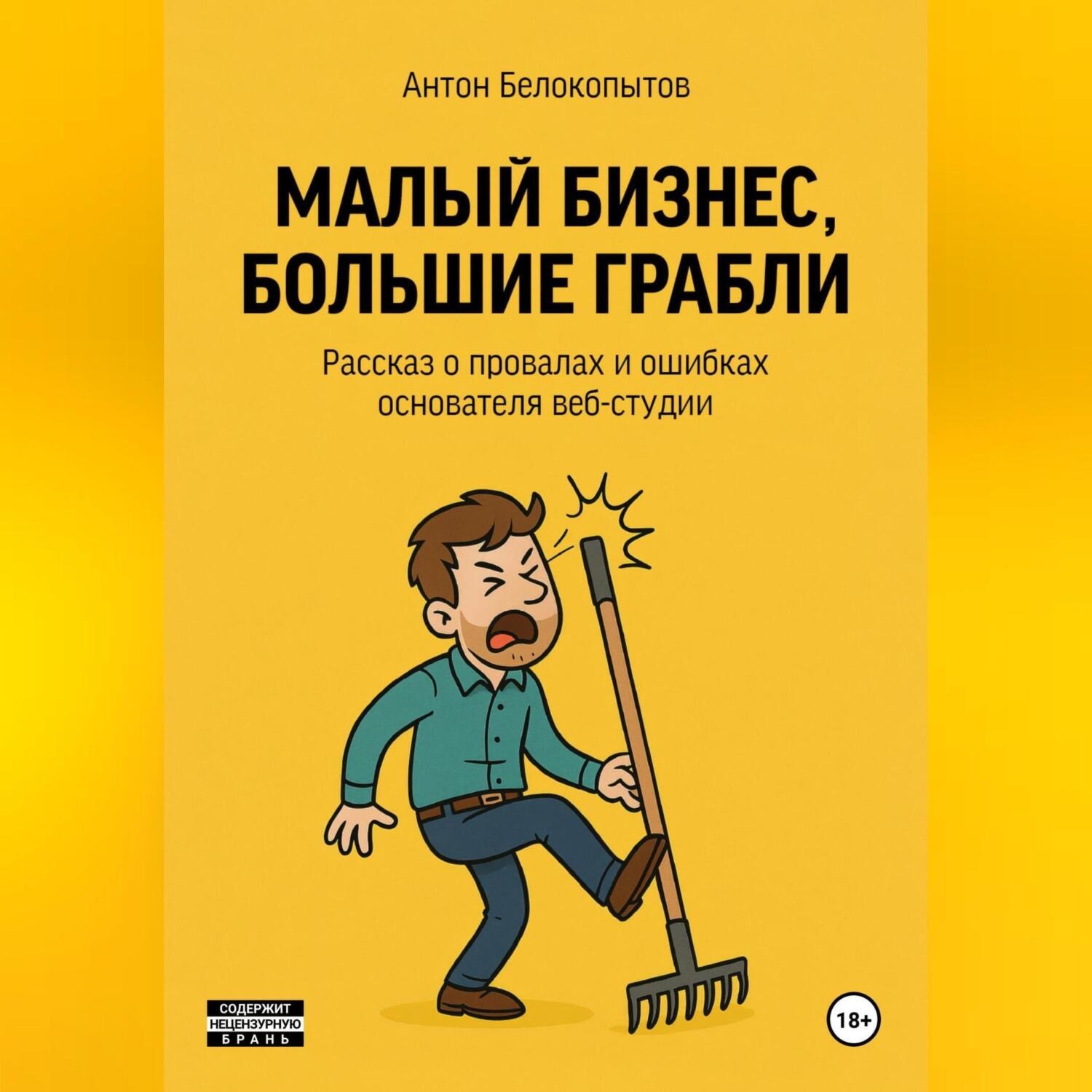 Обложка книги «Малый бизнес, большие грабли»