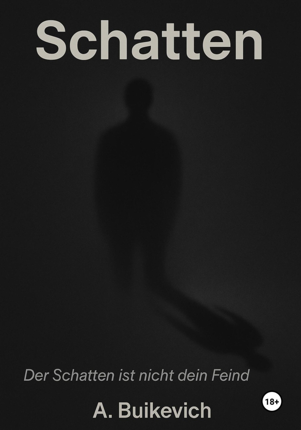 Обложка книги «Schatten»