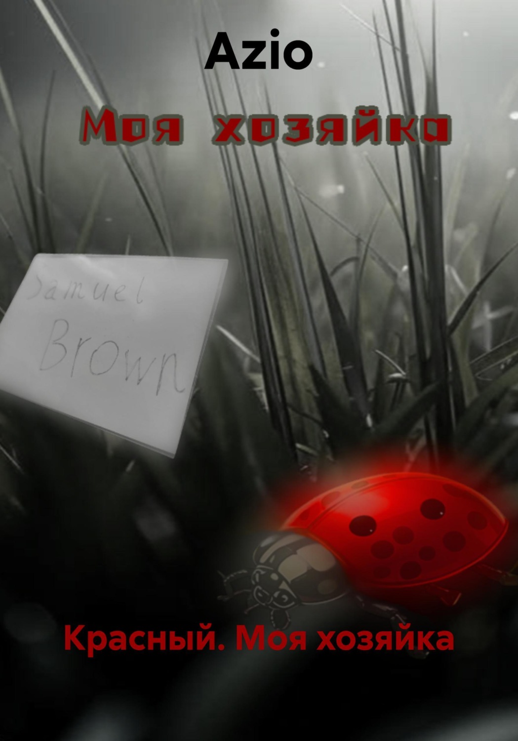 Обложка книги «Красный. Моя хозяйка»