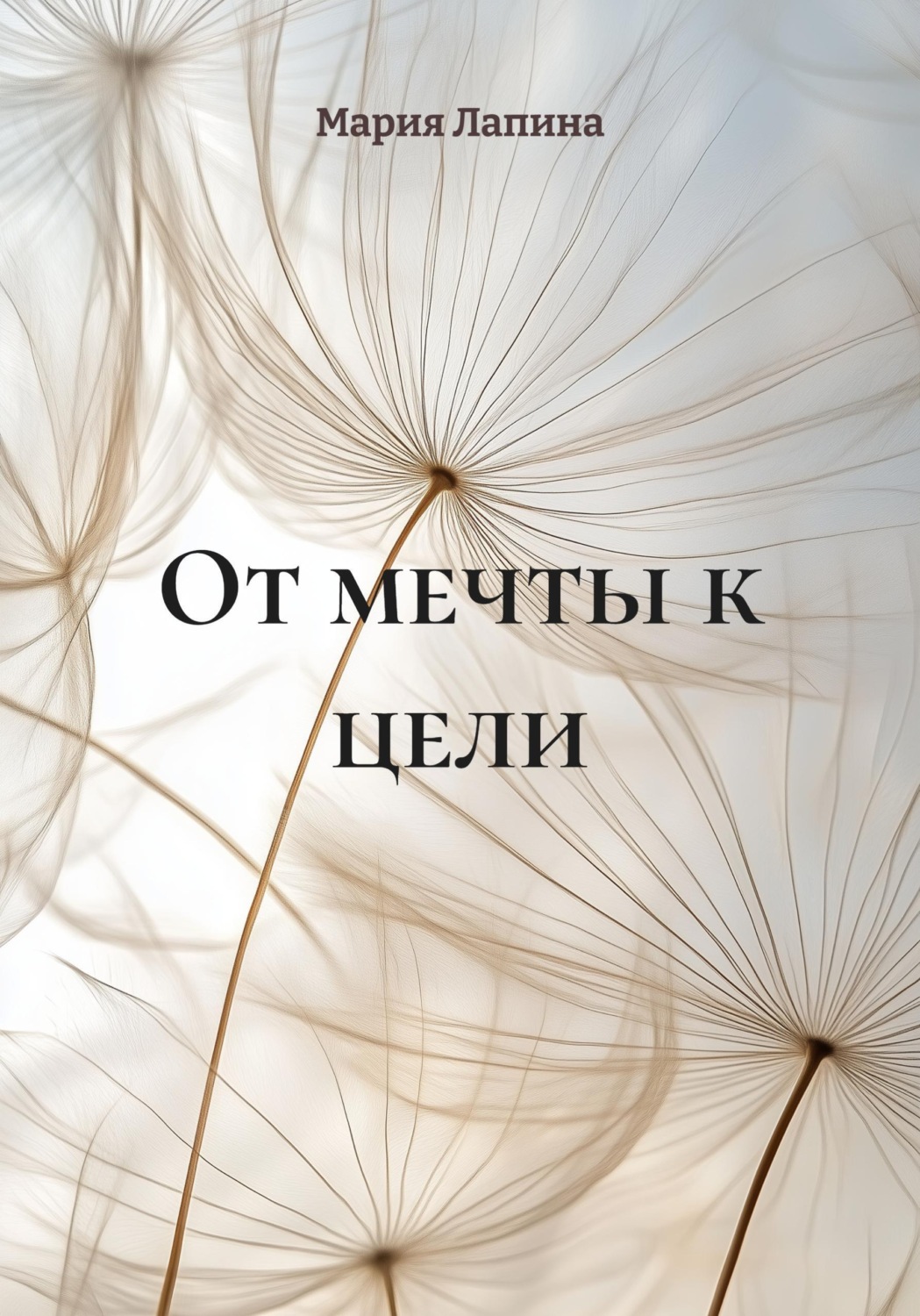 Обложка книги «От мечты к цели»