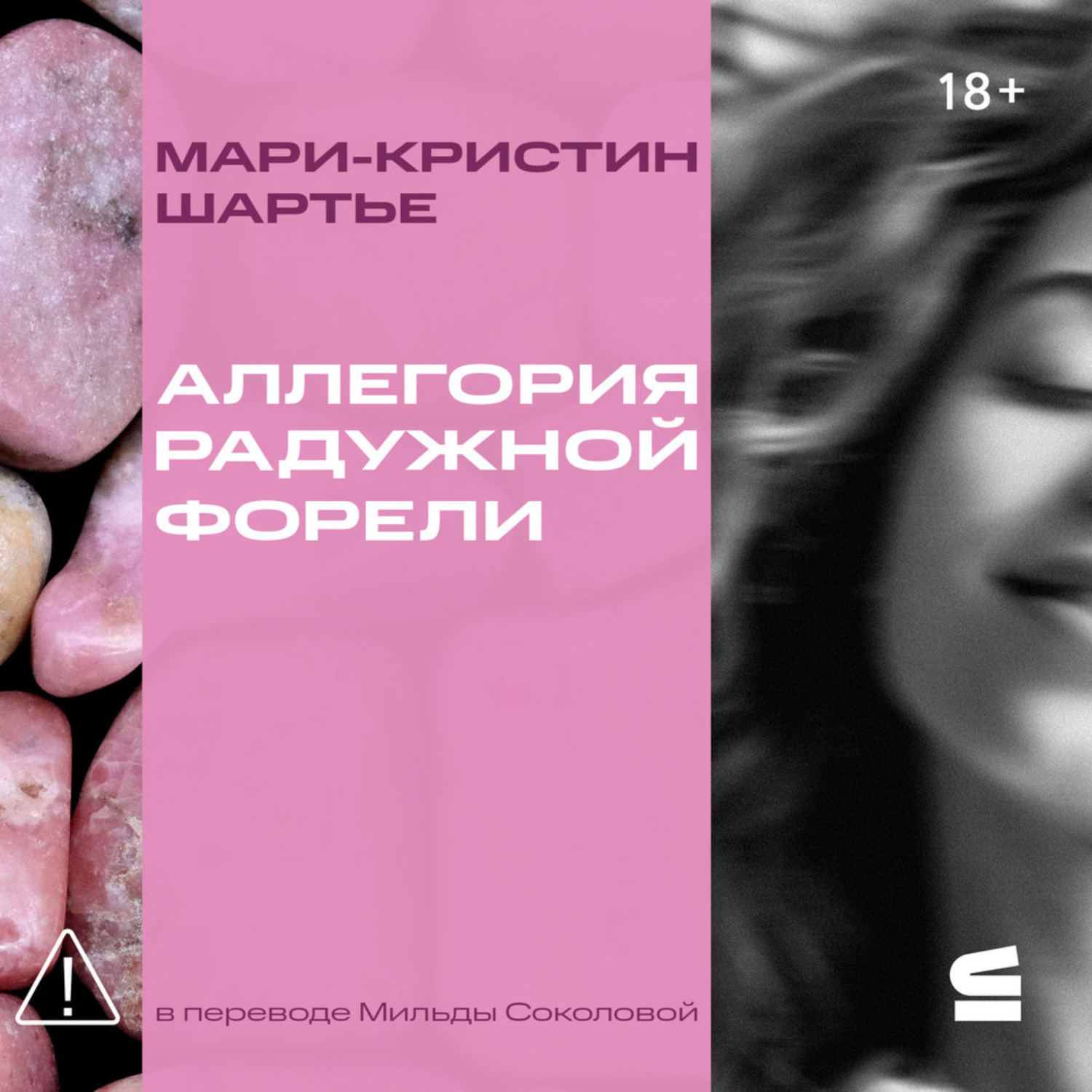 Обложка книги «Аллегория радужной форели»