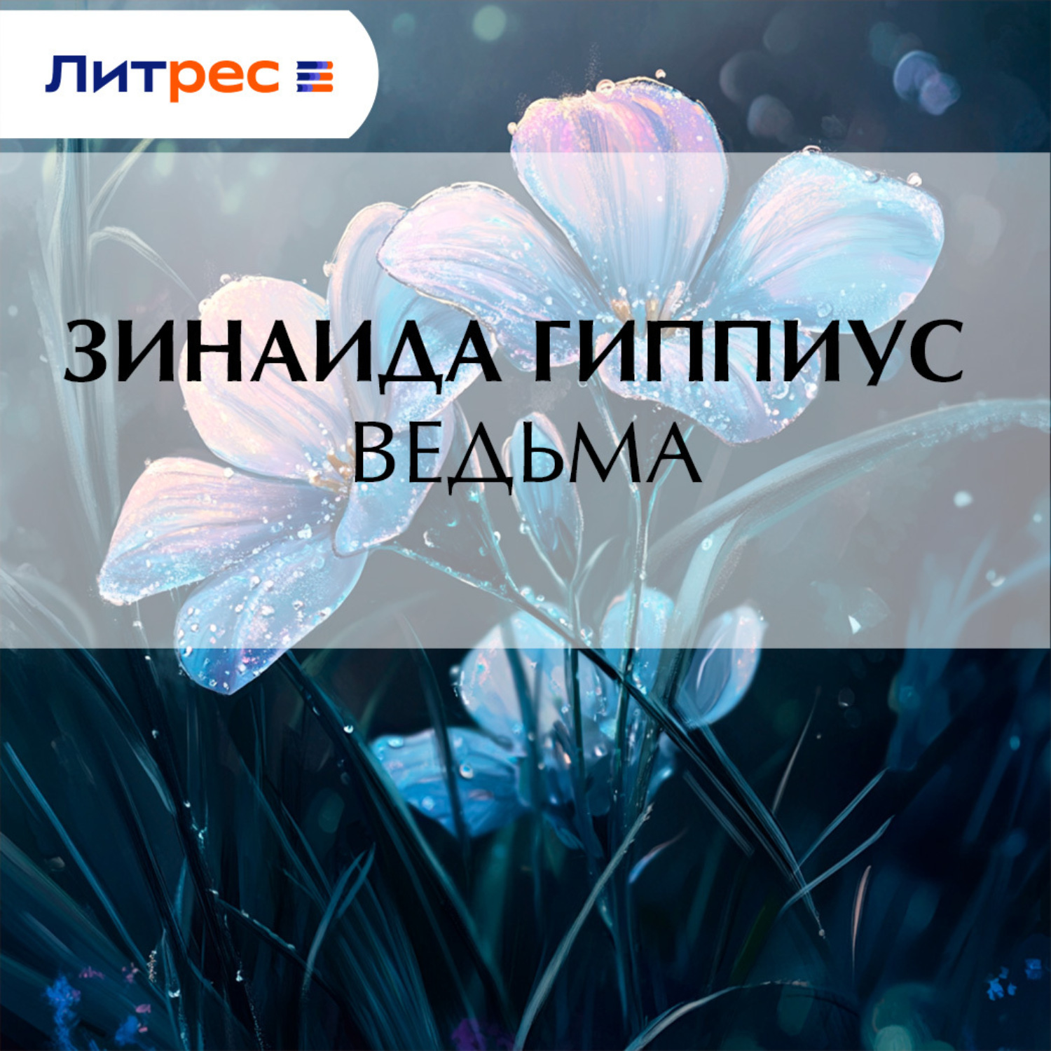 Обложка книги «Ведьма»
