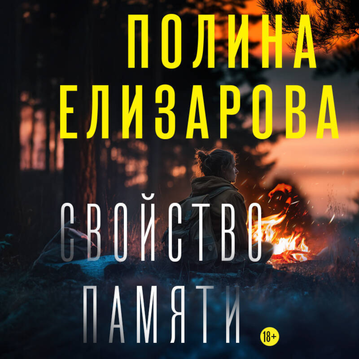 Обложка книги «Свойство памяти»
