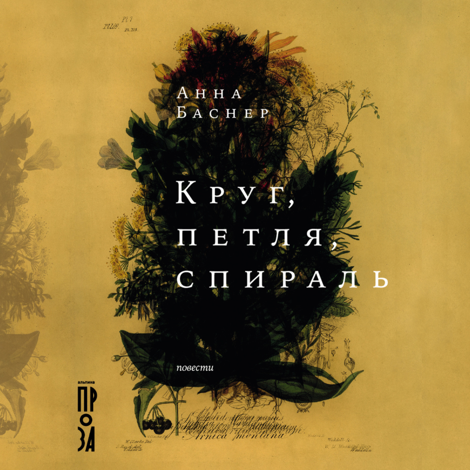 Обложка книги «Круг, петля, спираль»