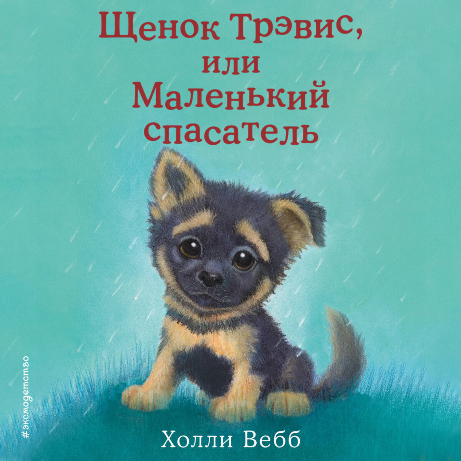 Обложка книги «Щенок Трэвис, или Маленький спасатель»