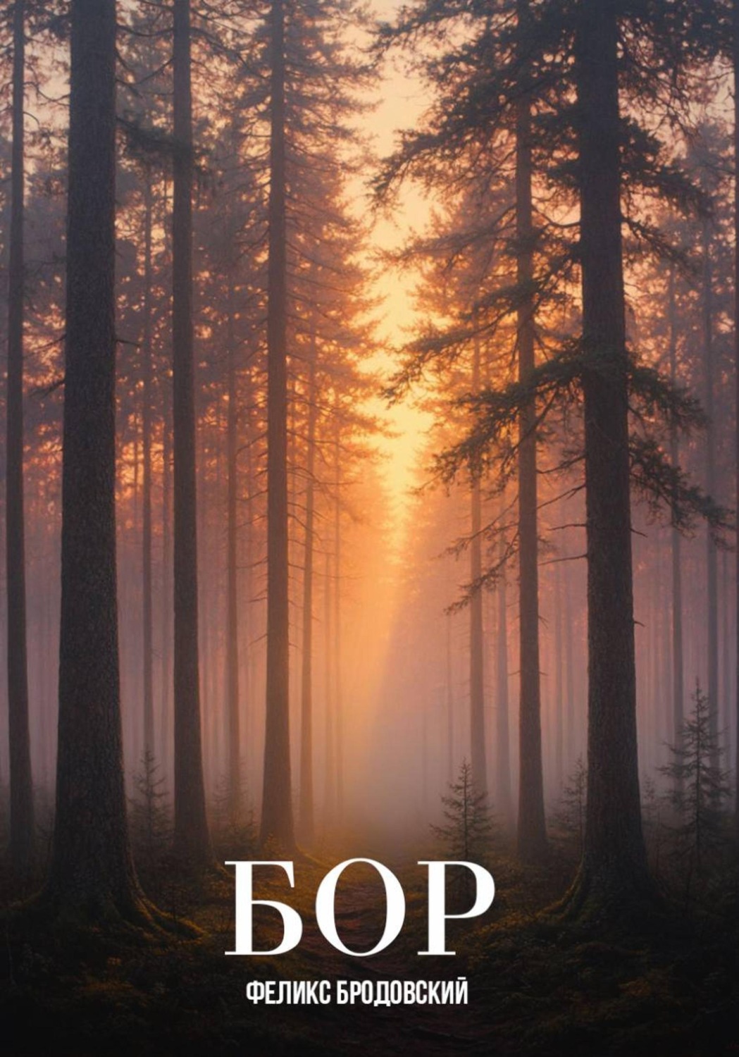 Обложка книги «Бор»