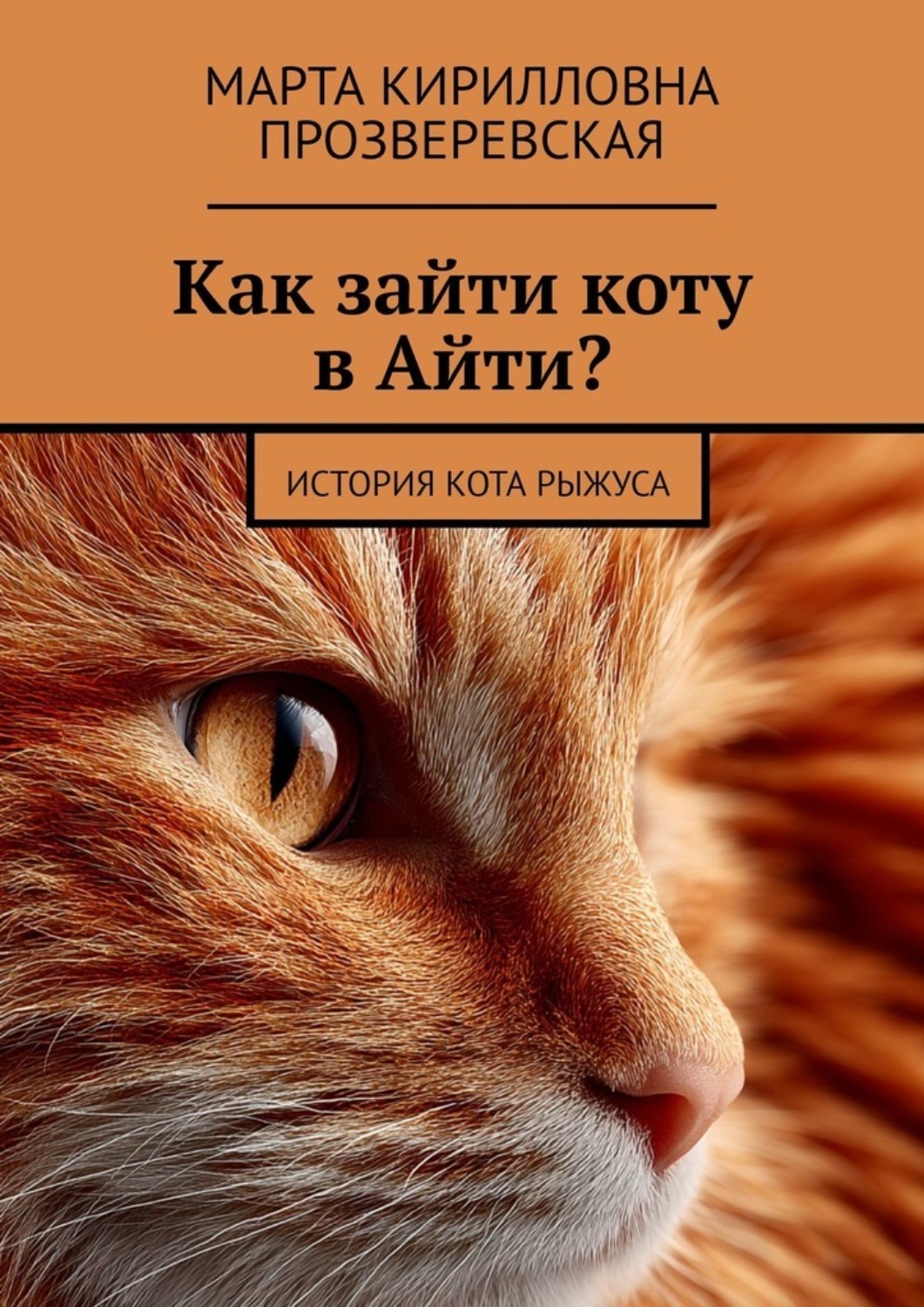 Обложка книги «Как зайти коту в Айти? История кота Рыжуса»