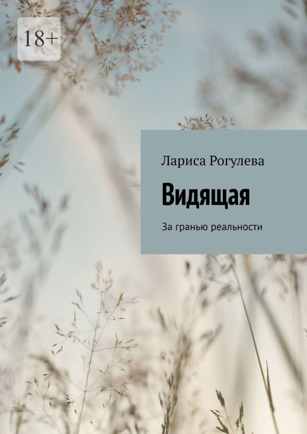 Обложка книги «Видящая. За гранью реальности»