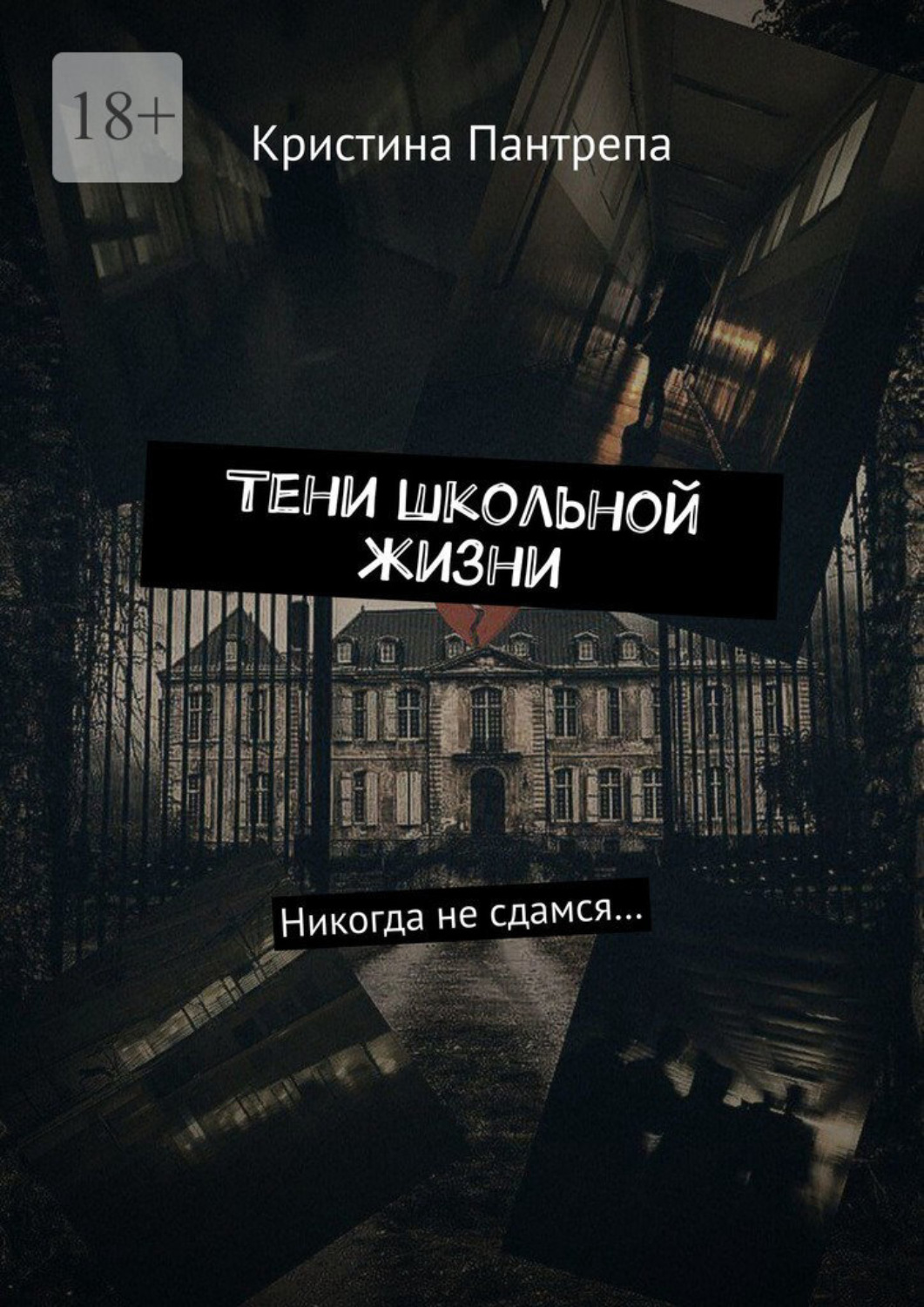 Обложка книги «Тени школьной жизни. Никогда не сдамся…»