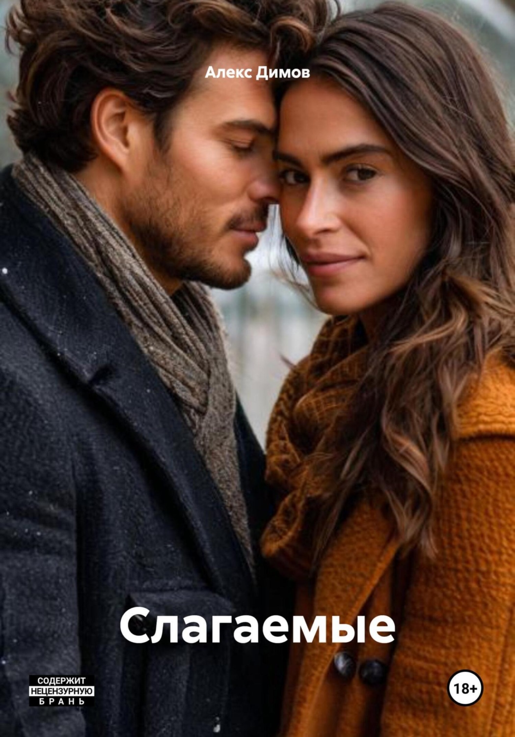 Обложка книги «Слагаемые»