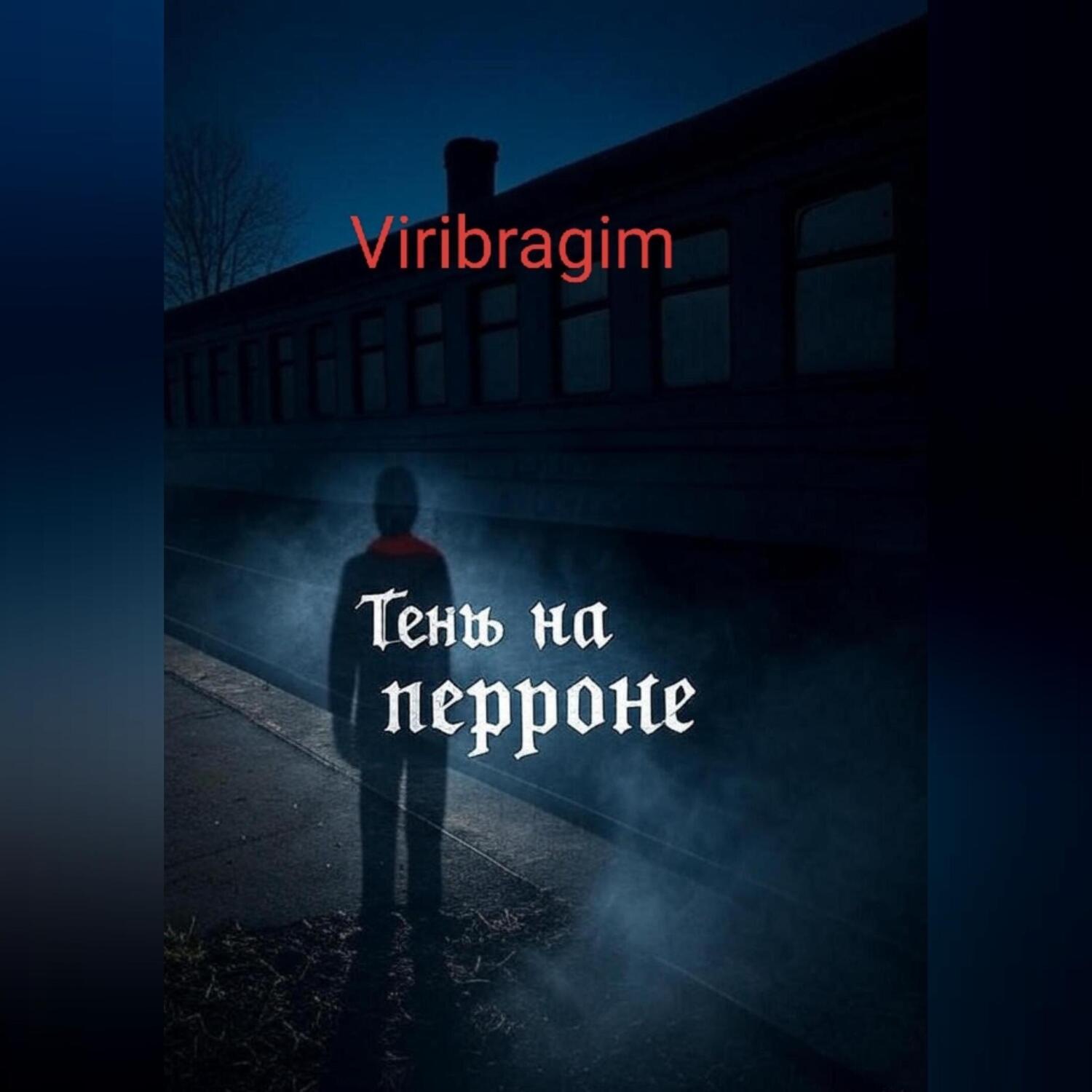 Обложка книги «Тени перрона»